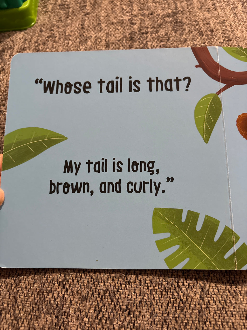 Whose Tail Jungle board book