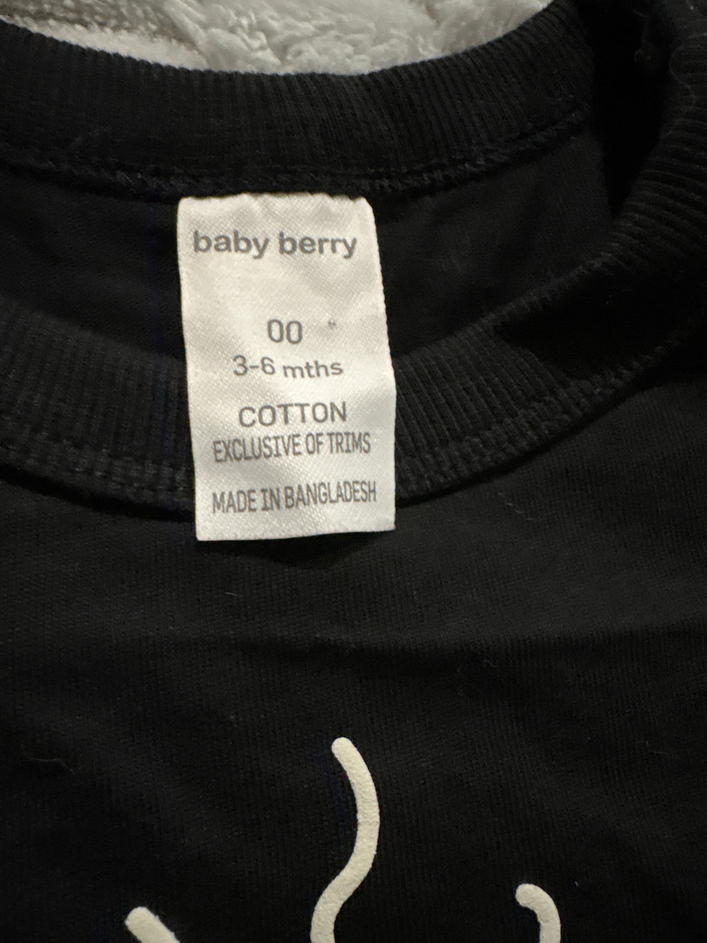 Baby Berry fun tshirt. Size 00