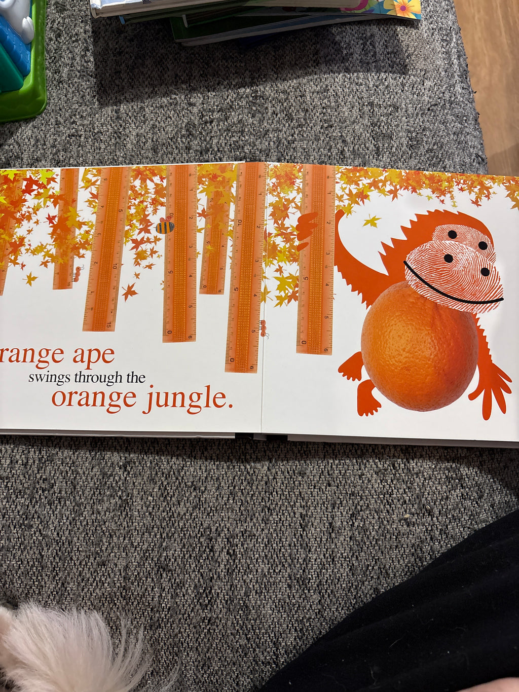Colours hard cover board book