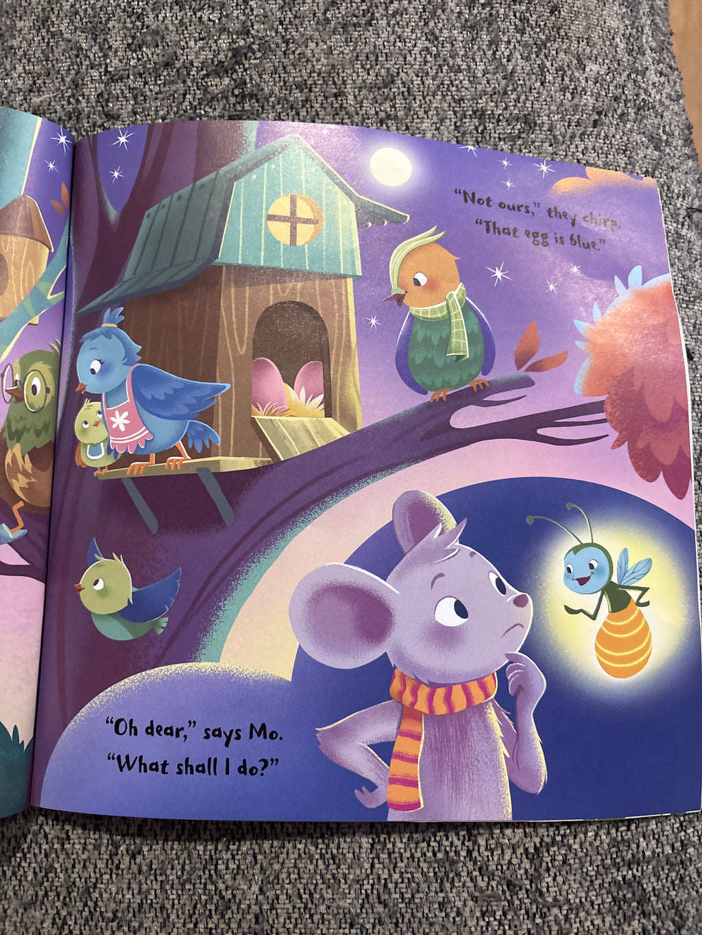 Family Ever After - a soft cover book about love