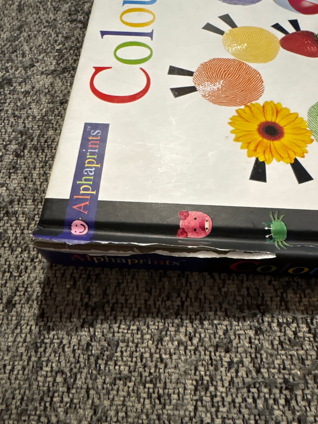Colours hard cover board book