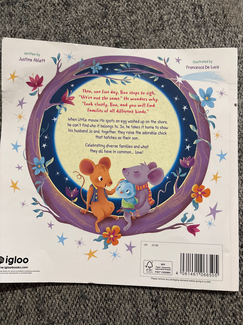 Family Ever After - a soft cover book about love