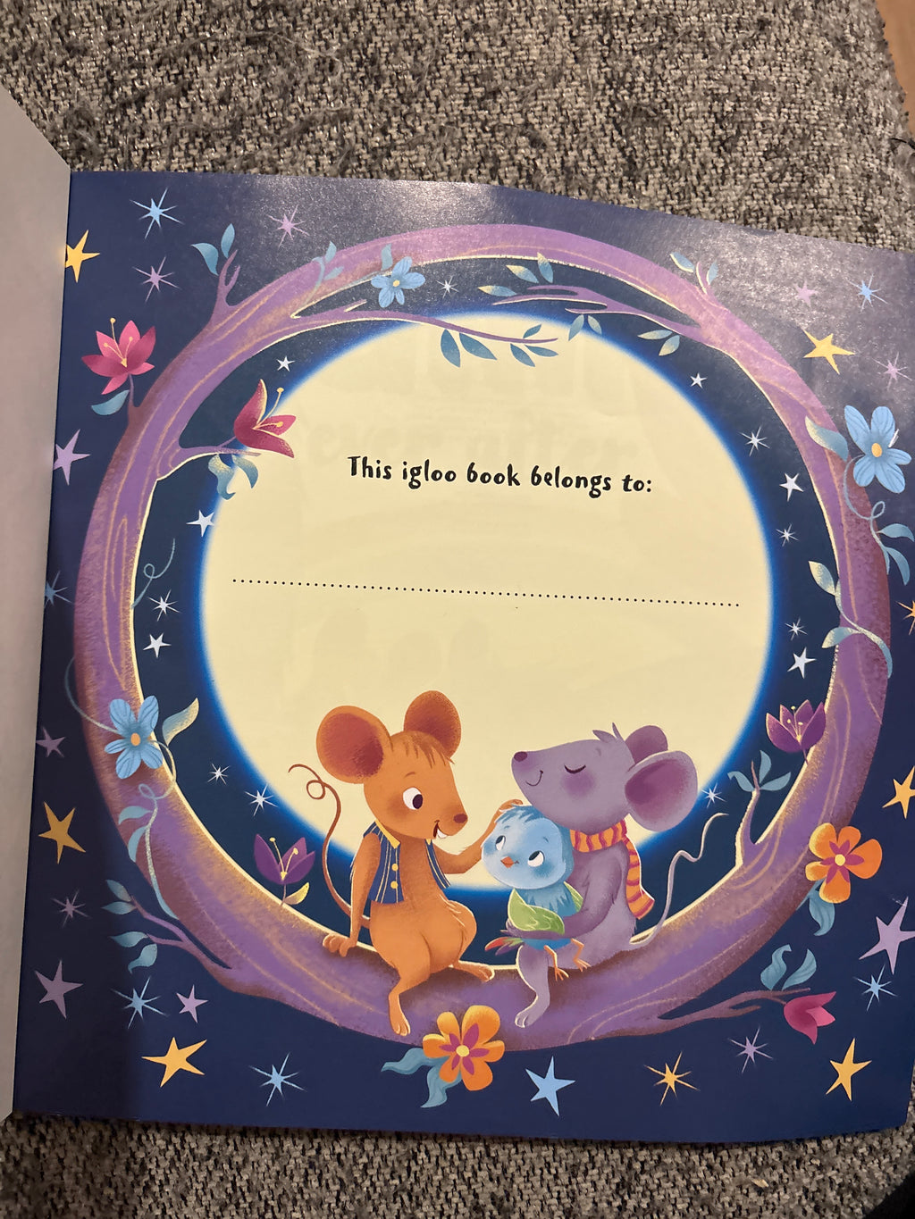 Family Ever After - a soft cover book about love